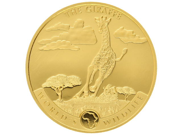 neuer Artikel erstellt am 24.02.2022-15:58